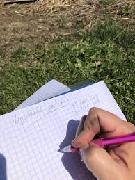 Ready to start planning your own garden? 5 Ways To Plan Your Garden Layout And How To Do It Gardening