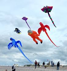 Peter Lynn Kites