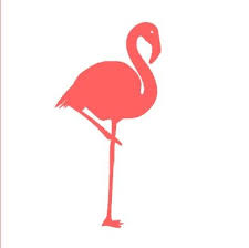 Resultat De Recherche D Images Pour Dessins De Flamants Rose Et Noir Flamant Rose Dessin Flamand Rose Flamant Rose