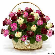We did not find results for: Pin By Nidia Tavarys On Gif Beautiful Bouquet Of Flowers Birthday Flowers Happy Birthday Flower