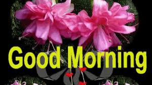 Make it happen for both you and your dear one by sharing our good morning gif animation this page shows some beautiful collection of good morning animated gif images for you to download and share online. Good Morning Flowers On Make A Gif