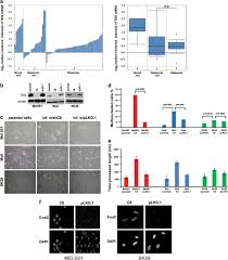 Must prevent workers from lubricating a machine without removing the safeguard. Thymine Dna Glycosylase As A Novel Target For Melanoma Oncogene