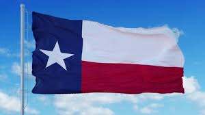 Also, there are words all over the place. 4k Chile Flag Is Fluttering Stock Footage Video 100 Royalty Free 15232843 Shutterstock