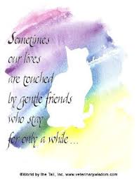 Some of the quotes will also offer insight into the loss, helping them to come to terms with what has happened. Front Message Sometimes Our Lives Are Touched By Gentle Friends Who Only Stay For A While Inside Message Cat Sympathy Dog Sympathy Card Pet Sympathy Cards