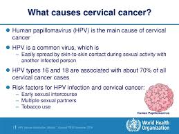 There are many types of hpv. Introduction To Hpv Infection Cervical Cancer Disease Gardasiltm Ppt Download