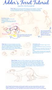 How To Draw A Ferret Ferret Drawings Drawing Tutorial