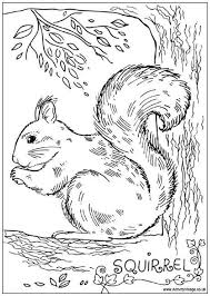 Free printable coloring pages and connect the dot pages for kids. Squirrel Colouring Page Kleurplaten Dieren Kleurplaten Kleurboek