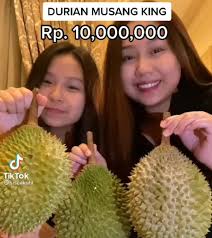 403 likes · 95 talking about this. Yuk Intip Potret Interior Rumah Mewah Sisca Kohl Ajeg