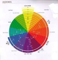 Professional Hair Color Wheel Help With Self Hair Coloring