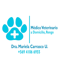 Veterinario a Domicilio, Rengo