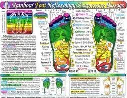 Rainbow Coded Foot Reflexology Chart Inner Light Resources