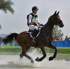 Check spelling or type a new query. Olympia Skandal Ard Kommentator Carsten Sostmeier Bringt In Rio Deutsche Reiter Gegen Sich Auf Welt
