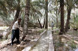 الافلاج والعيون في دولة الامارات العربية المتحدة. Ø§Ù„Ø£ÙÙ„Ø§Ø¬ ØªØ±ÙˆÙŠ Ù‚ØµØ© Ø§Ù„Ù…ÙŠØ§Ù‡ ÙÙŠ Ù…Ø¯ÙŠÙ†Ø© Ø§Ù„Ø¹ÙŠÙ† Ø¯ÙŠØ§Ø±Ù†Ø§ Ø§Ù„Ø¨ÙŠØ§Ù†