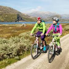 If you select search for a friend you can use a dodo code to connect with a a resident or your future self will receive the card after some time has passed. 13 Scenic Bike Rides Go Bikepacking In Norway