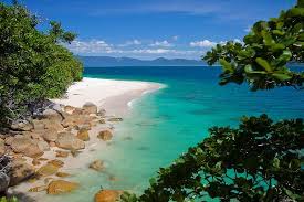 Image result for fitzroy island nudey beach