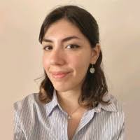 100+ "Schunk" profiles