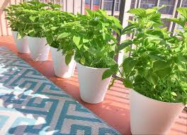 Even victorian planters are ideal containers to use for this. Diy A Trash Can Into A Large Flower Pot Planter Get Green Be Well