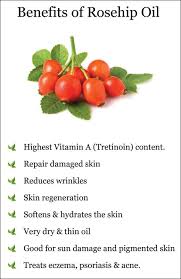 The best one for me is that it repairs sun damage. Pin On Beauty Skin