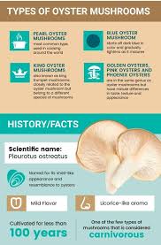 Pleurotus populinus 'aspen oyster mushroom'. Lei S Mushrooms 5 Benefits Of Oyster Mushrooms 1 Lower Facebook