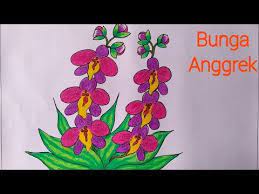 Untuk langkah pertama sebagai berikut. Terkeren 30 Gambar Kartun Bunga Anggrek Cara Menggambar Bunga Anggrek Yang Mudah Menggambar Bunga Download Inilah 33 Macam Ma Anggrek Lukisan Bunga Mosaik
