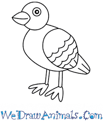 How To Draw A Simple Pigeon For Kids