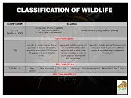 Wildlife_ conservation_ act_ 2010.pdf build ???build??? Under Section 66 Of Act 716 Wildlife Conservation Act 2010 The Issued Decree Reads Any Person Who Operates A Zoo Commercial Captive Breeding Circus Or Wildlife Exhibition Without A Permit Commits An