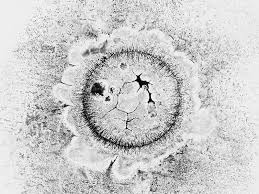 Here S How To Draw With 400 000 Volts Of Electricity Painting Art Printmaking