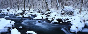 Obituary of Lorraine Camilla Morrison