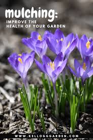 How to use grass clippings for mulch for tomato plants how to prevent weeds from growing in mulch mulching your flower and vegetable beds will drastically reduce the amount of time spent. How And When To Mulch A Garden Kellogg Garden Organics