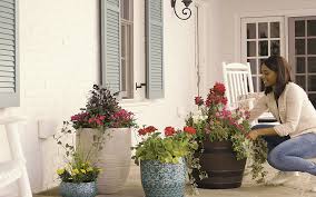 Some argue that all planters need drainage holes to help maintain the overall health of your plants. Planters The Home Depot