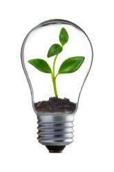 Do Plants Grow Better In Sunlight Or Artificial Light Science Project Education Com Science Fair Science Fair Projects Fair Projects