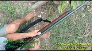 Pohon kelapa usia 5 sampai 7 taun. Power S4dis Tembus Pohon Kelapa Muda Sen4pan Pcp Monel B1g Game Youtube