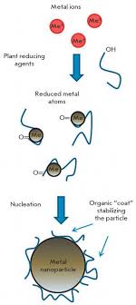 We did not find results for: Green Synthesis Of Metal Nanoparticles For Antimicrobial Activity Intechopen