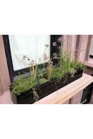 All plants shown in these photos, courtesy of our vendor, commercial silk international, are infused. Classic Window Box