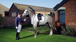 His wins include team gold at the 2007, 2009 and. Interview With British Eventing Rider Oliver Townend Populous