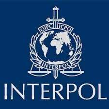 Interpol eurojust logo crime organization, police, text, people, logo png. Interpol Logos