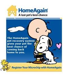 Homeagain Promo Codes 18promocode Promo Codes Online Promo Codes Coding