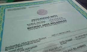 Isi formulir yang disediakan oleh petugas. Cara Syarat Dan Biaya Mengurus Akta Kelahiran Baru Cermati Com