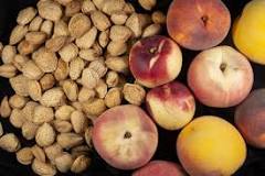 Are almond and peach trees related?