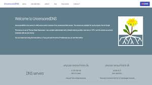 They claim to be the fastest dns service in the world. 18 Best Free And Public Dns Servers In 2021 Safe And Fast