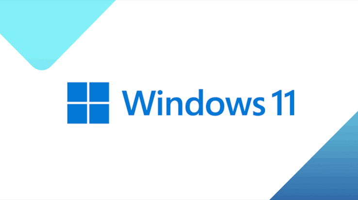 Windows License