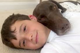 Affordable pet care basse | at affordable pet care, our veterinary clinic team tries to treat you the way we would want to be treated. Mixing Dogs And Kids