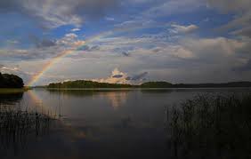 Best Fishing Before Rain Vs After Rain Tips Behavior