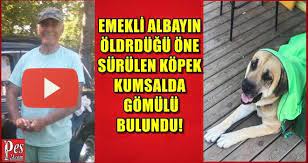 emekli albayin oldurdugu one surulen kopek kumsalda gomulu bulundu kopek suc