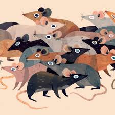 Stacey Thomas On Instagram Giant Pile Of Rats Giant Pile Of Rats Rats Mouse Illustration Mouse Illustration Animal Illustration Animal Art