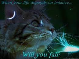 Quality wallpaper with a preview on: Warrior Cats Wallpapers Desktop Wallpaper Cave Warrior Cats Computer Background 453339 Hd Wallpaper Backgrounds Download