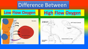 Image result for Moderate Flow Oxygen