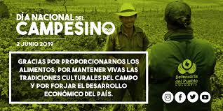 Últimas noticias en deportes, economía, política y tecnología. Colombia Hoy Y Siempre Reconocemos Y Valoramos Al Campesinado Como Sujeto De Derechos Ante El Estado Colombiano