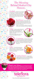 infographic the meaning of mothers day flowers teleflora