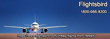 Cheap Flights From Newark Ewr At Flightsbird Flightsbird Is Travel Expert Who Will Be Intensive Cheap Flights Book Cheap Flight Tickets Cheap Flight Tickets